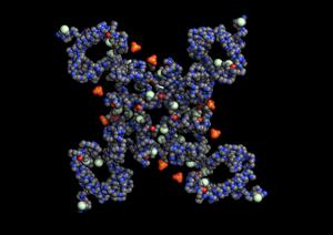 Sodium channel