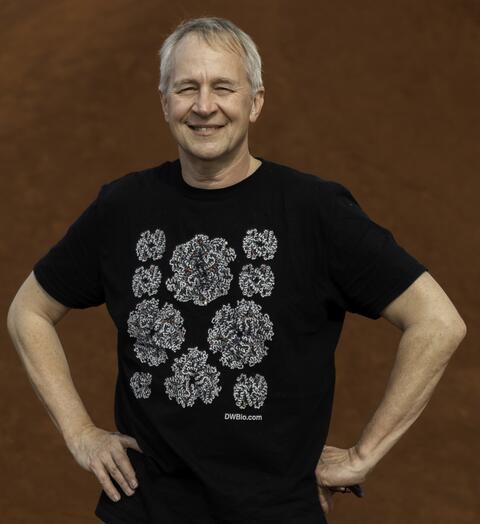 T-Shirt with different hemoglobin molecules