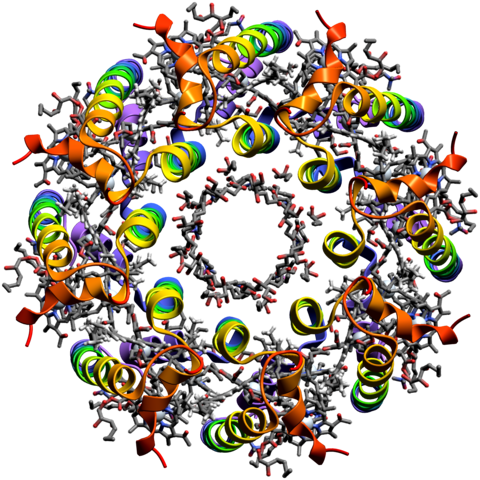 Light harvesting complex from Molecule World in ribbon mode with rainbow coloring