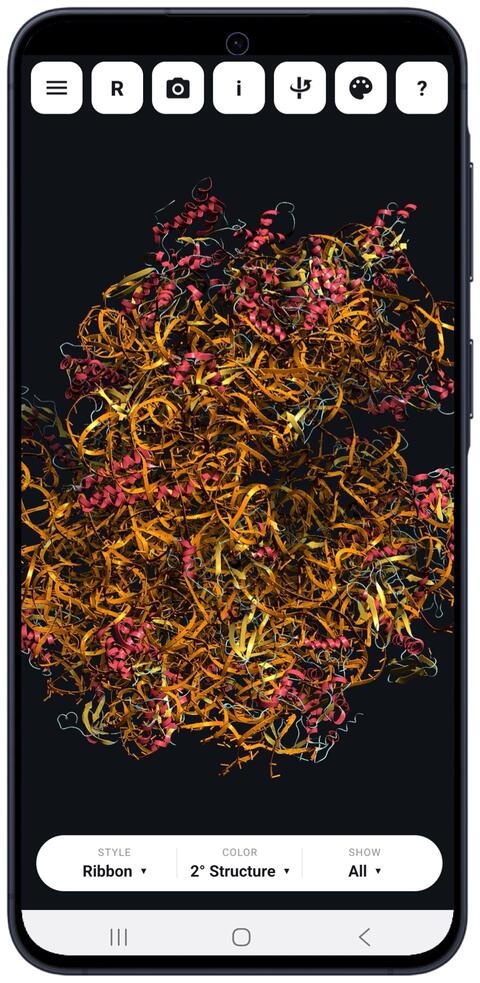 Ribosome displayed on an Android phone