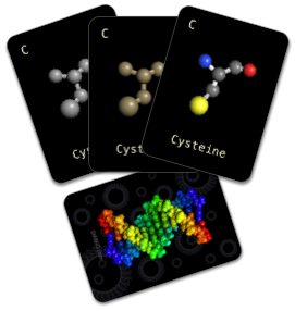 DWBio Amino Fish