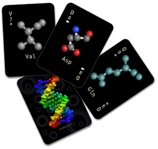 DWBio Amino Rummy