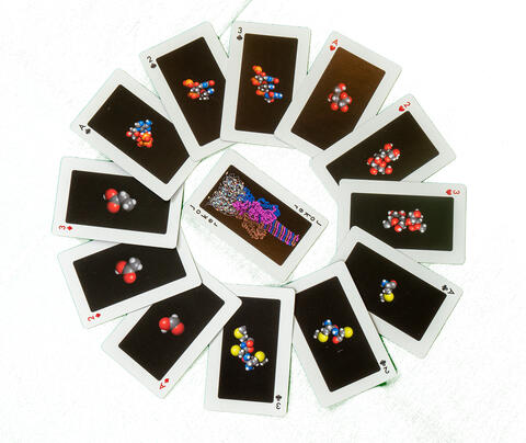 Digital World Biology: Macromolecule Playing Cards
