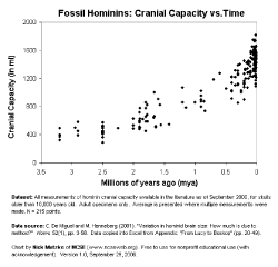 i-0b0d43f2f67b1960d2e105f54e9a7ba1-fossil_hominin.gif