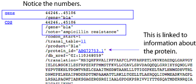 i-100b03171ca5d9b9ccfdbe25e94302e0-step4.gif
