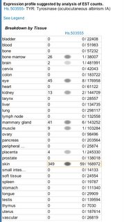 i-342de1369f106cbe4175ca8dbafc0f66-table3.4.png