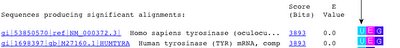 i-46ff179c1ed81553398968ae0163bb59-blast2.png