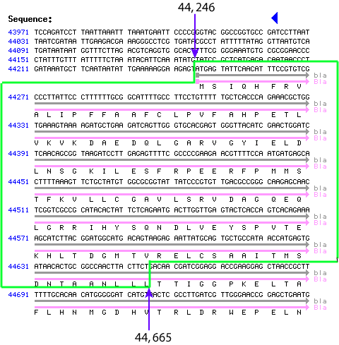 i-897226001c3ad35fb8188e5f61e31750-last_step.gif