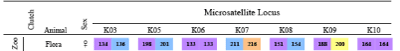 i-9428f82e9d99bb689666477f2b81001d-flora1.gif