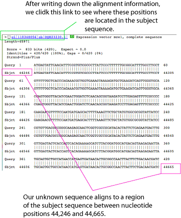 i-cd61f5b89e5529c7778f42d76fd2be88-step2.gif