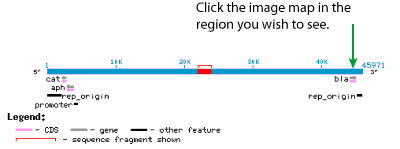 i-ee4b77fa5fb809b7c94a5d6997af92df-step7.gif